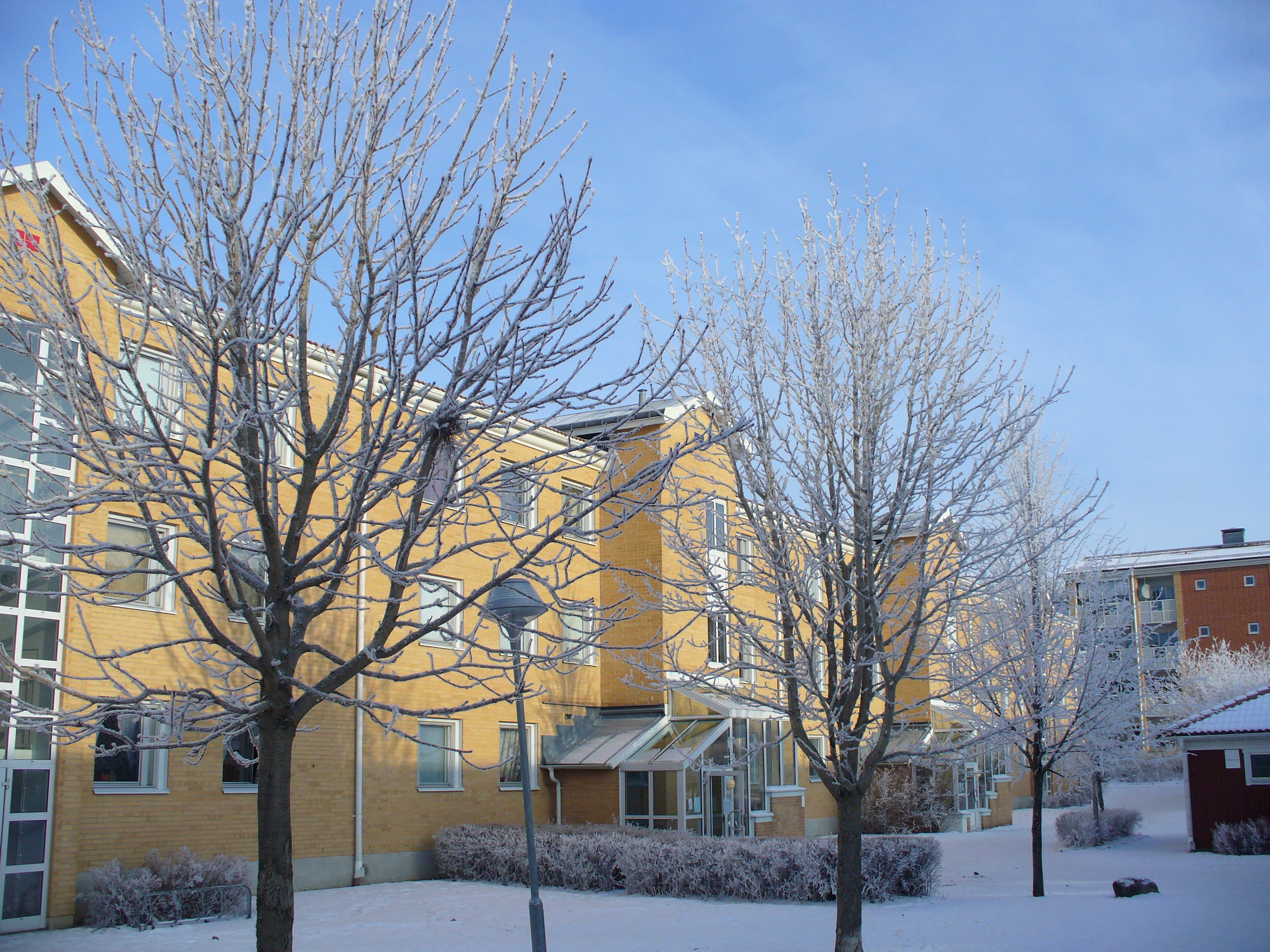 vinterbild på mansängen 