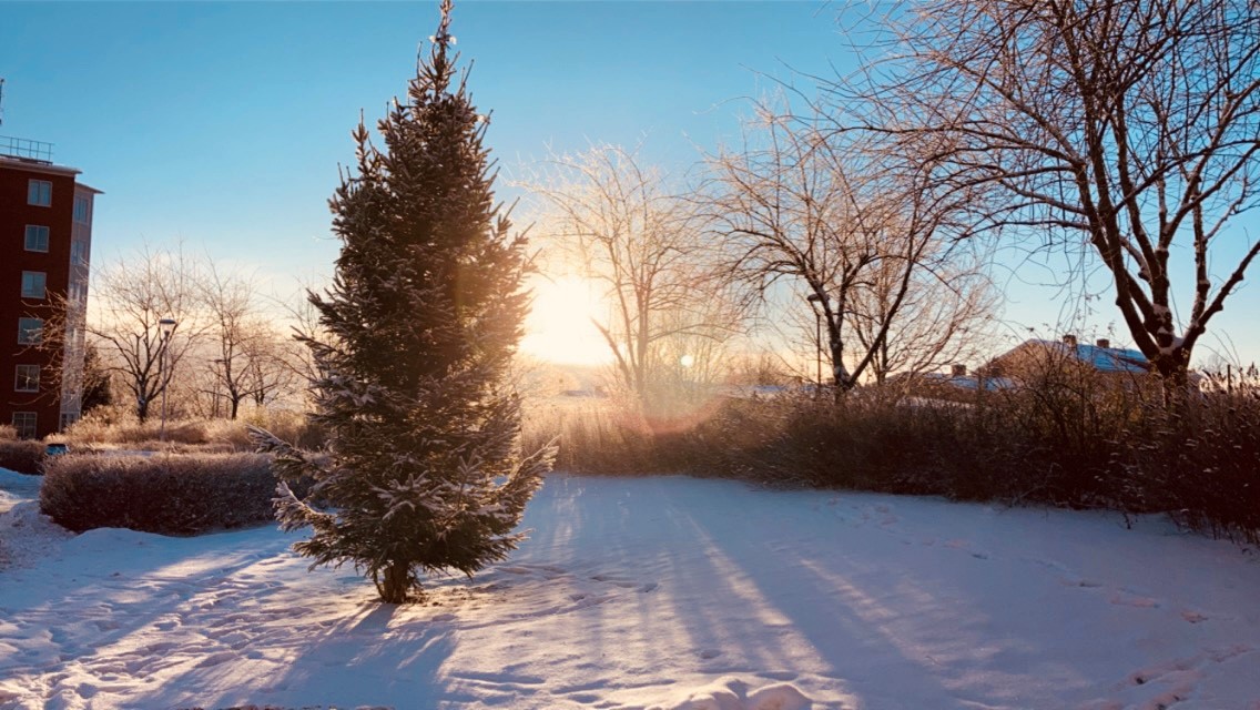 julgran 