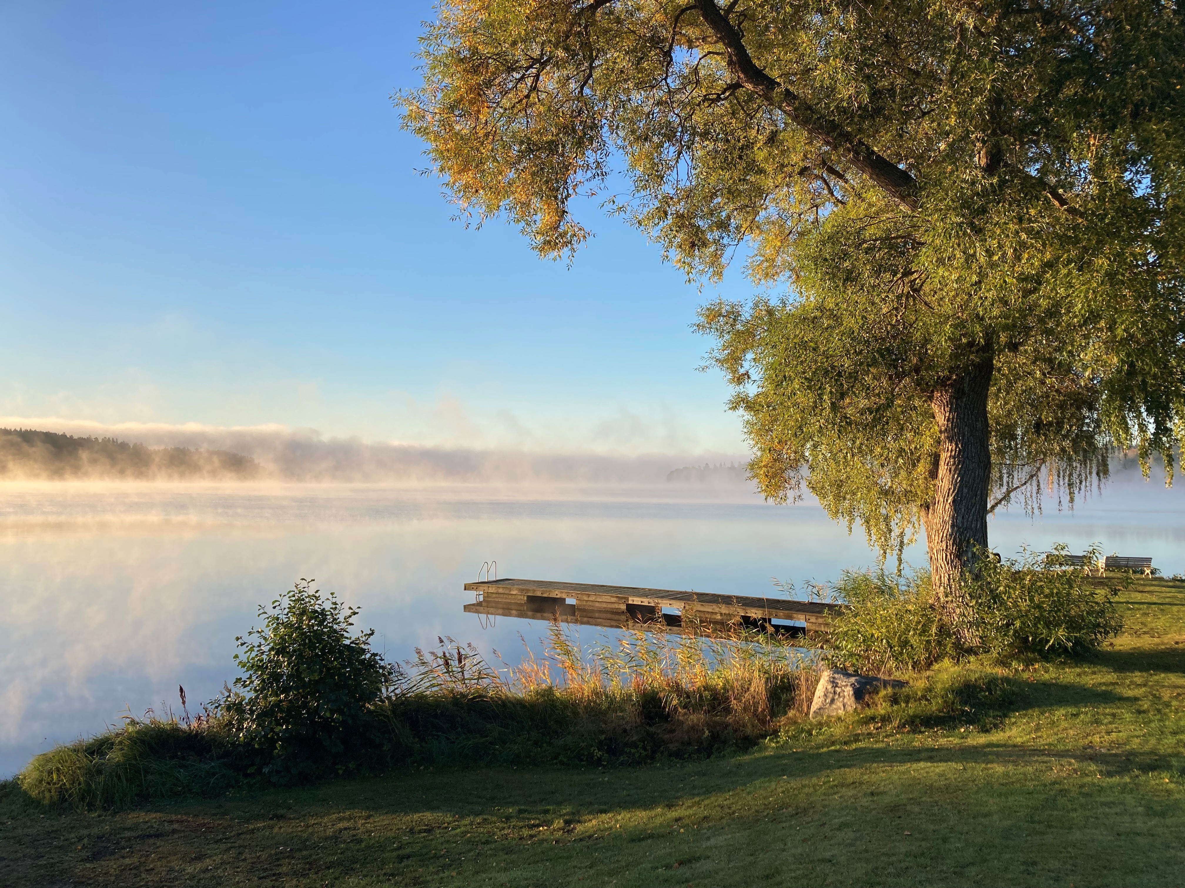 vacker höstdag vid vattnet 