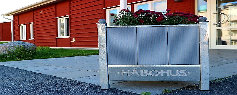 bild på blomkruka håbohus 