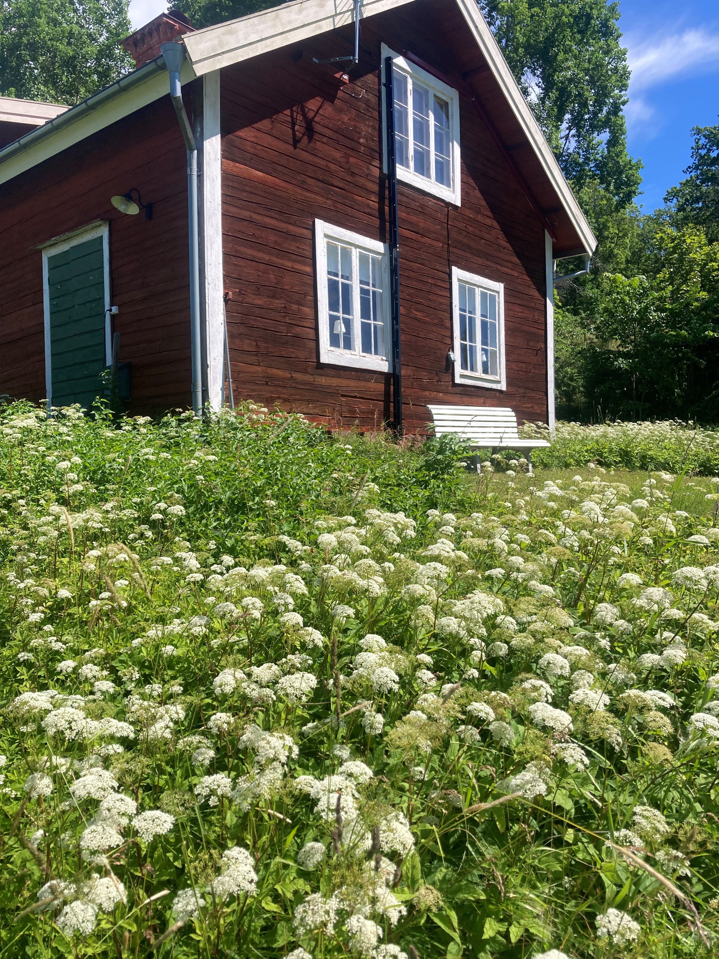 Bild på en röd timmer stuga med vita knutar