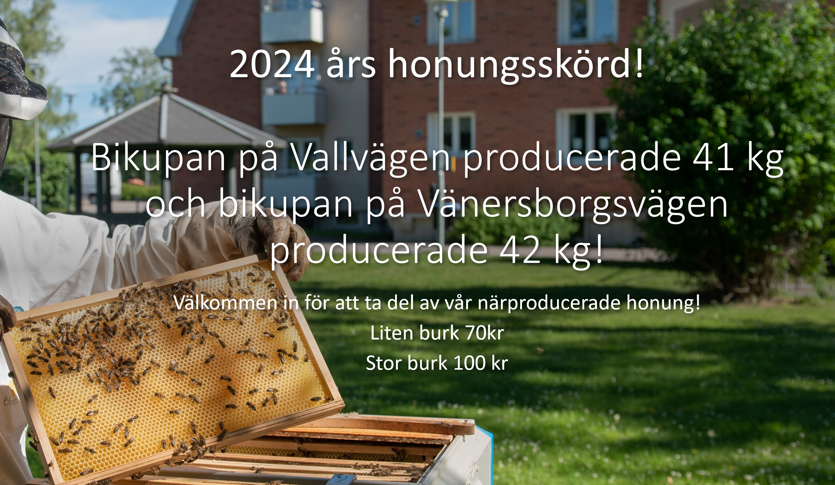 Bild på bin 