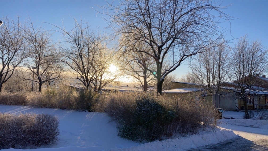 vinterbild på mansängen 